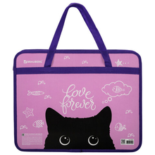 Папка на молнии с ручками А4 "Brauberg"  Black Cat, пластик, 270122