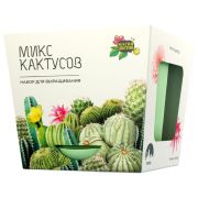 Набор для выращивания растений МАГИЯ ЦВЕТОВ «Кактусы микс» (горшок, грунт, семена), mf-003