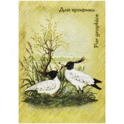 Блокнот для графики 20 л. А5 на спирали «Журавль» арт. БГ/А5