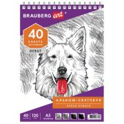 Альбом-скетчбук А5 «Brauberg» Art debut, 120 г/м2, 40л, белая бумага, спираль, арт.110988