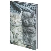 Блокнот А5, 80л, твёрдый, клетка, STAFF, Котики, 114413