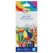 Карандаши цветные Гамма «Классические», 12цв., заточен., картон. упак., европодвес
