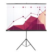 Экран Cactus Triscreen CS-PST-180x180, 180x180 см, 1:1, напольный, черный