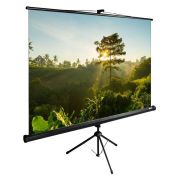 Экран Cactus TriExpert CS-PSTE-200x200-BK, 200x200 см, 1:1, напольный, черный