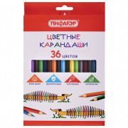 Карандаши цветные 36 цв. «Пифагор» Веселая такса