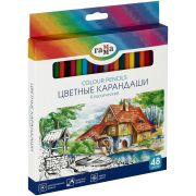 Карандаши цветные 48 цв. «ГАММА» Классические, 240102_01