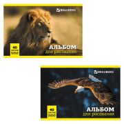 Альбом  40 л., А4, скрепка, «Brauberg» Дикие животные, 104876