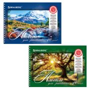 Альбом  40 л., А4, спираль, Brauberg 