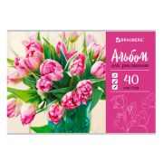 Альбом для рисования 40л., А4, на скрепке BRAUBERG, Тюльпаны, 105088