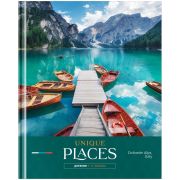 Дневник 1-11 кл. 40л. ЛАЙТ ArtSpace «Путешествия. Unique places», глянцевая ламинация