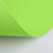 Бумага (картон) для творчества (1 лист) Fabriano Elle Erre А2+ 500х700 мм, 220 г/м2, светло-зеленый, 42450710