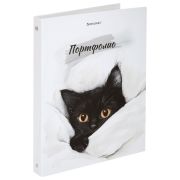 Папка-портфолио универсальная, 4 кольца, 20 файлов, 7БЦ матовая, BRAUBERG «Cat», 107557, 117557