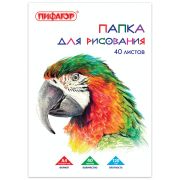 Папка для рисования, А4, 40 л., 120 г/м2, ПИФАГОР, 210х297 мм, «Попугай», 129222