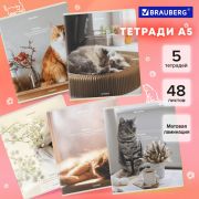 Тетради ДЭК А5 48 л. КОМПЛЕКТ 5 шт. BRAUBERG, скоба, клетка, матовая ламинация, «Cats», 404673