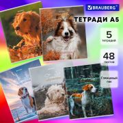 Тетради ДЭК А5 48 л. КОМПЛЕКТ 5 шт., BRAUBERG скоба, клетка, глянцевый лак, «Собачки», 404676