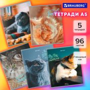 Тетради ДЭК А5 96 л. КОМПЛЕКТ 5 шт., BRAUBERG скоба, клетка, матовая ламинация, «Котики», 404693
