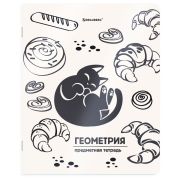 Тетрадь предметная КОТ-НЕПОСЕДА 48 л., пластиковая обложка, ГЕОМЕТРИЯ, клетка, подсказ, BRAUBERG, 405532