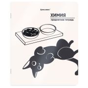 Тетрадь предметная КОТ-НЕПОСЕДА 48 л., пластиковая обложка, ХИМИЯ, клетка, подсказ, BRAUBERG, 405538