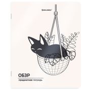 Тетрадь предметная КОТ-НЕПОСЕДА 48 л., пластиковая обложка, ОБЗР, клетка, подсказ, BRAUBERG, 405539