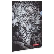 Папка-уголок, А4 с рисунком «Brauberg» Leopard, 150 мкм, арт. 228040