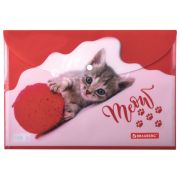 Папка-конверт с кнопкой «Brauberg» FUNNY CAT, А4, 160 мкм, цветная печать, 228038